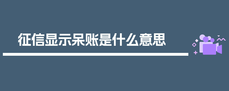 征信显示呆账是什么意思