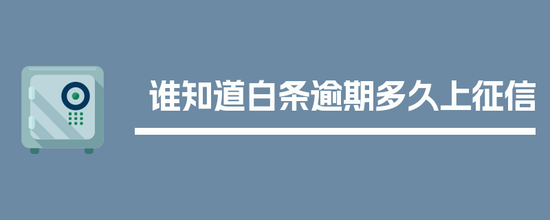 谁知道白条逾期多久上征信