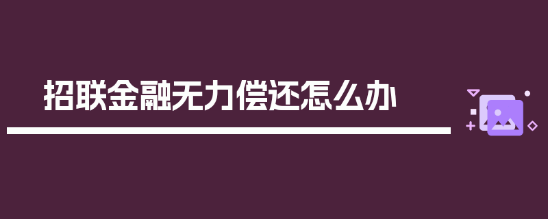 招联金融无力偿还怎么办