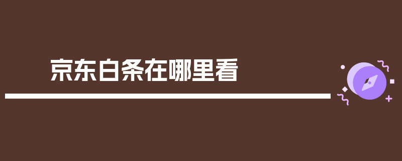 京东白条在哪里看