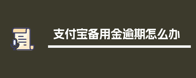 支付宝备用金逾期怎么办