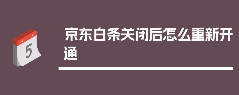 京东白条关闭后怎么重新开通