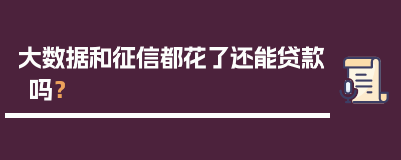 大数据和征信都花了还能贷款吗？