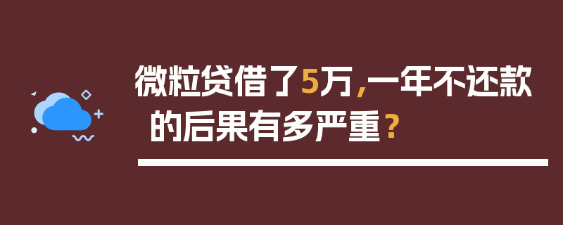 微粒贷借了5万，一年不还款的后果有多严重？