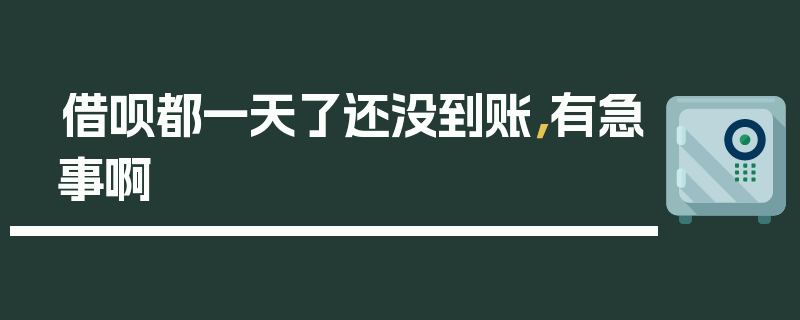 借呗都一天了还没到账，有急事啊