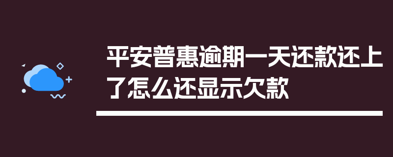 平安普惠逾期一天还款还上了怎么还显示欠款